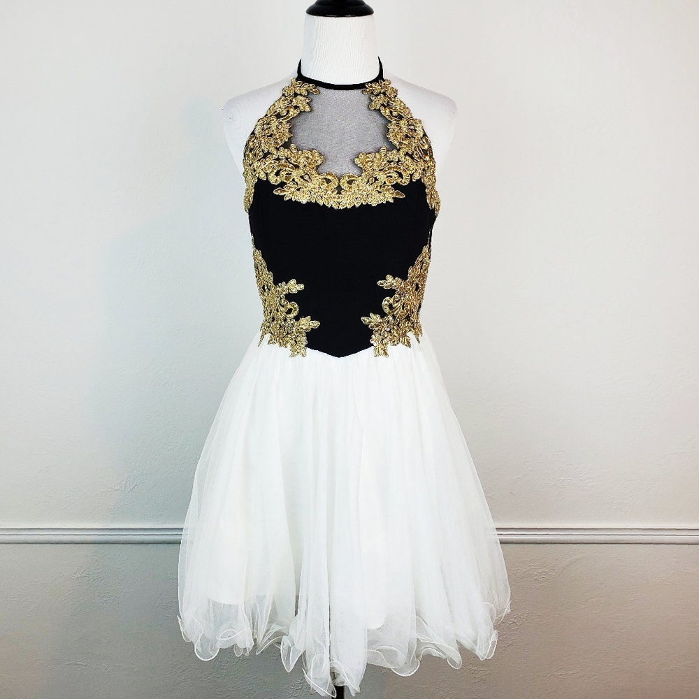 Blondie Nites Dress Stacy Sklar Prom Coquette Romantic Woodland Fairy Embroidery